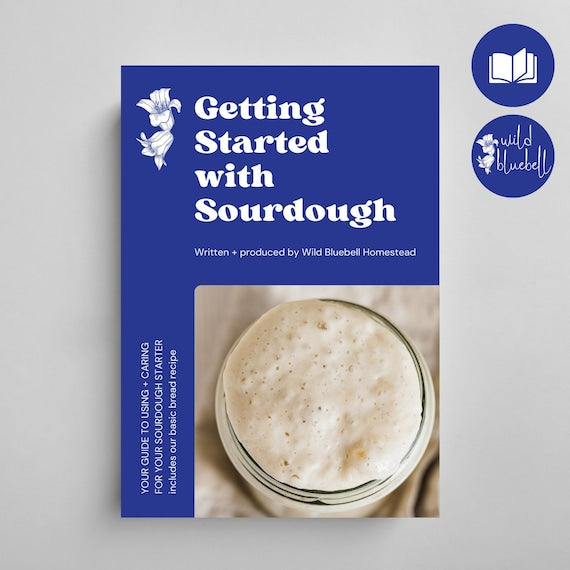 Sourdough Starter Guide — Step-by-Step, Recipes, PDF